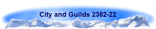 City and Guilds 2382-22