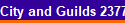 City and Guilds 2377