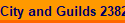 City and Guilds 2382-22