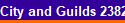 City and Guilds 2382-22