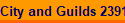 City and Guilds 2391-52