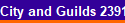 City and Guilds 2391-52