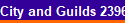 City and Guilds 2396